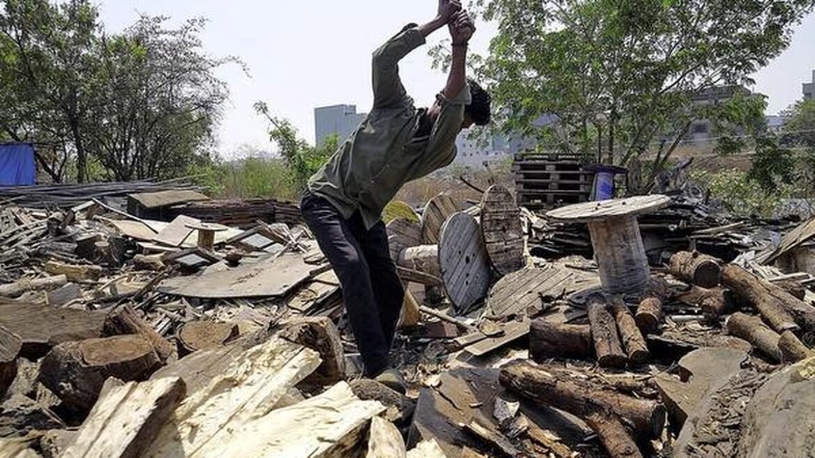 ఎల్‌పిజి కొరత కేరళలో కట్టెల డిమాండ్‌ను పెంచింది
