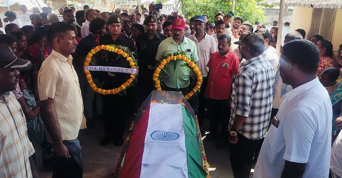 tmdb-header-middle-logo