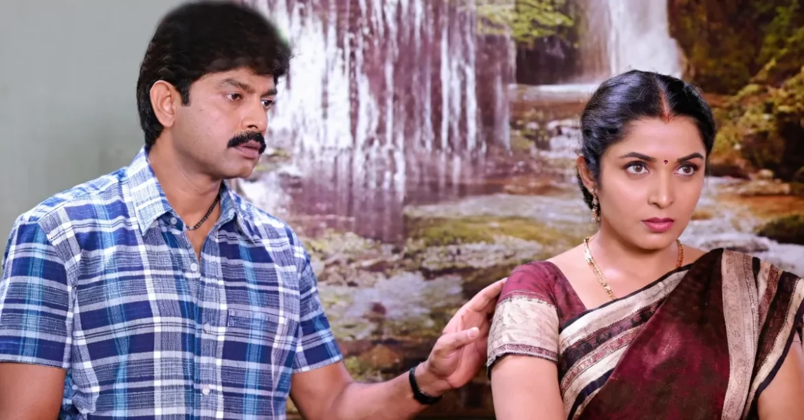 tmdb-header-middle-logo