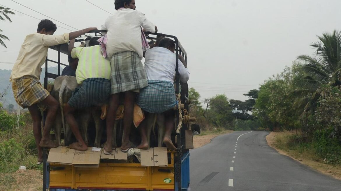 వచ్చే 1.5 ఏళ్లలో 7,110 కి.మీ గ్రామీణ రహదారులను పూర్తి చేస్తామని ప్రభుత్వం ఆశాభావం వ్యక్తం చేసింది
